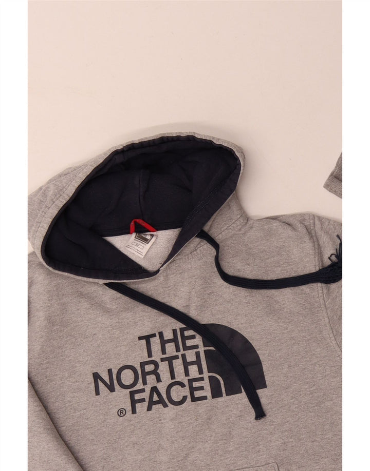 The NORTH FACE Hanoră grafică pentru bărbați Jumper mic, gri, bumbac