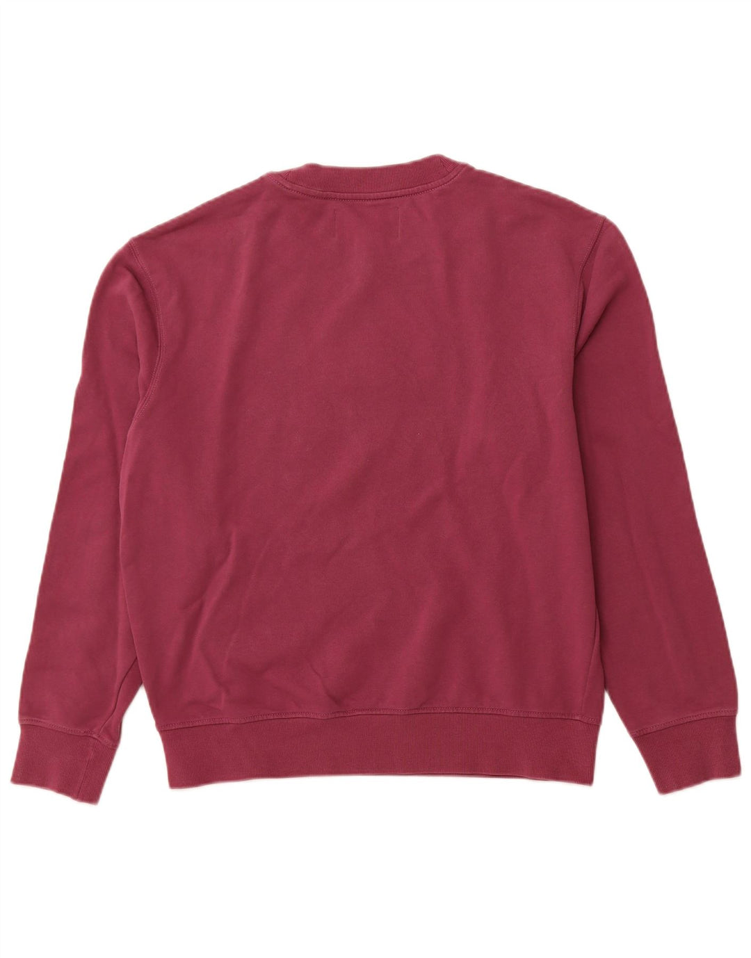 CALVIN KLEIN JEANS Hanorac grafic pentru bărbați Pulover mediu violet