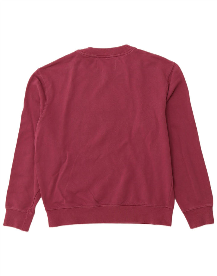 CALVIN KLEIN JEANS Hanorac grafic pentru bărbați Pulover mediu violet