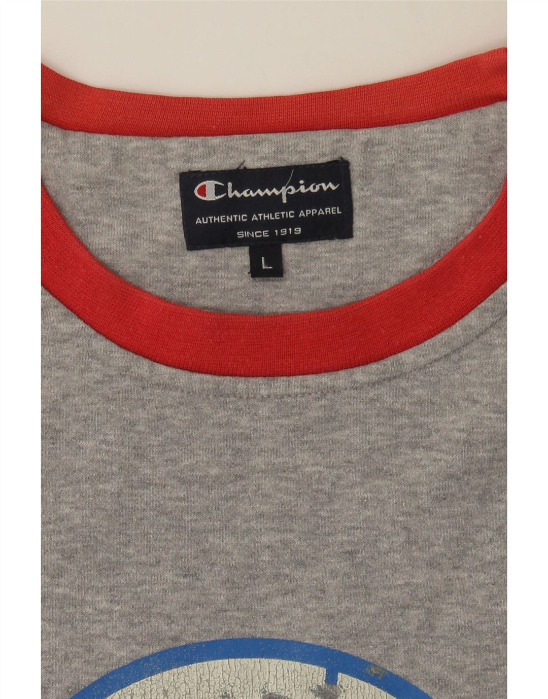 CHAMPION Mens Graphic Sweatshirt Jumper Large Grey Colourblock Cotton Vintage Champion and Second-Hand Champion from Messina Hembry 