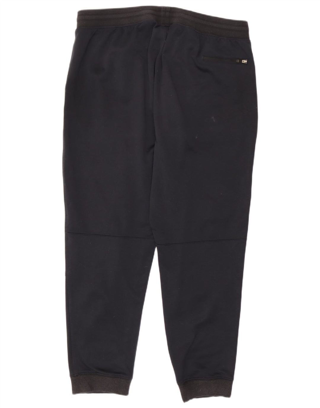 Pantaloni de trening pentru bărbați The North Face Joggeri mari bleumarin