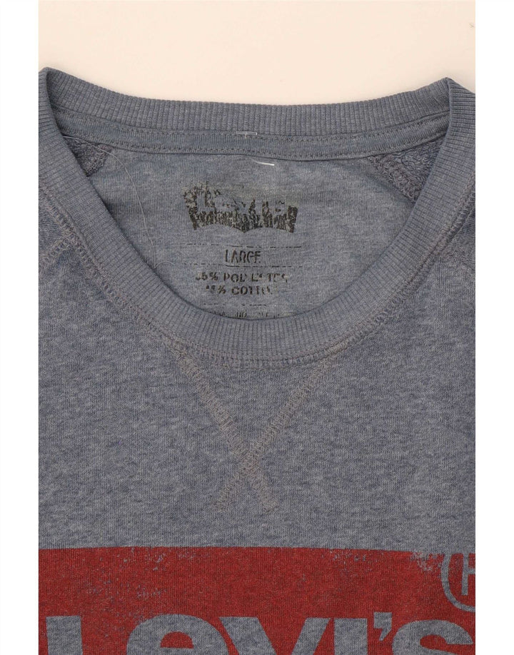 Pulover cu grafică Levi's pentru bărbați, poliester mare, albastru