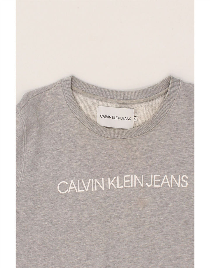 CALVIN KLEIN JEANS Womens Graphic Sweatshirt Jumper UK 14 Medium Grey Vintage Calvin Klein Jeans and Second-Hand Calvin Klein Jeans from Messina Hembry 