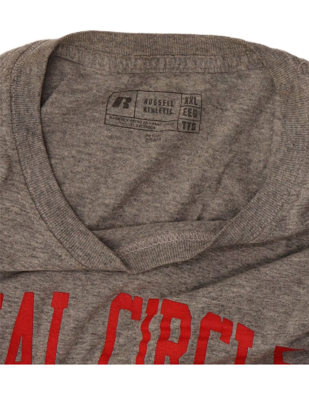 Tricou grafic Russell Athletic pentru bărbați Top 2XL gri