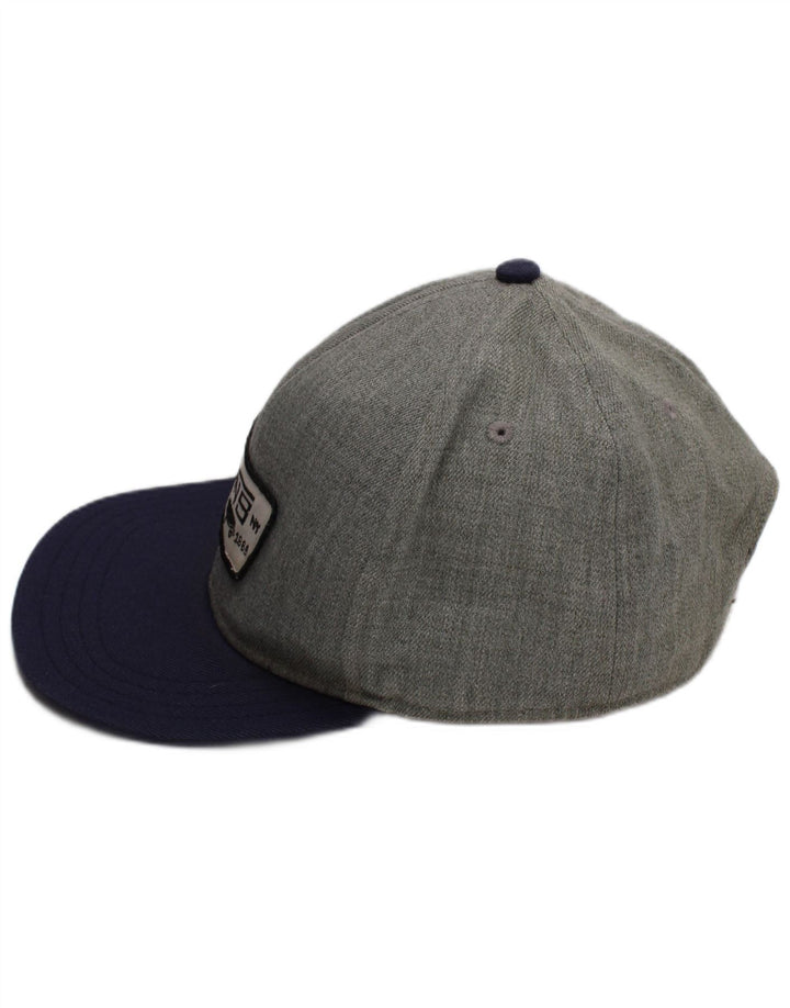 Şapcă de baseball grafică Vans pentru bărbaţi, mărime, gri