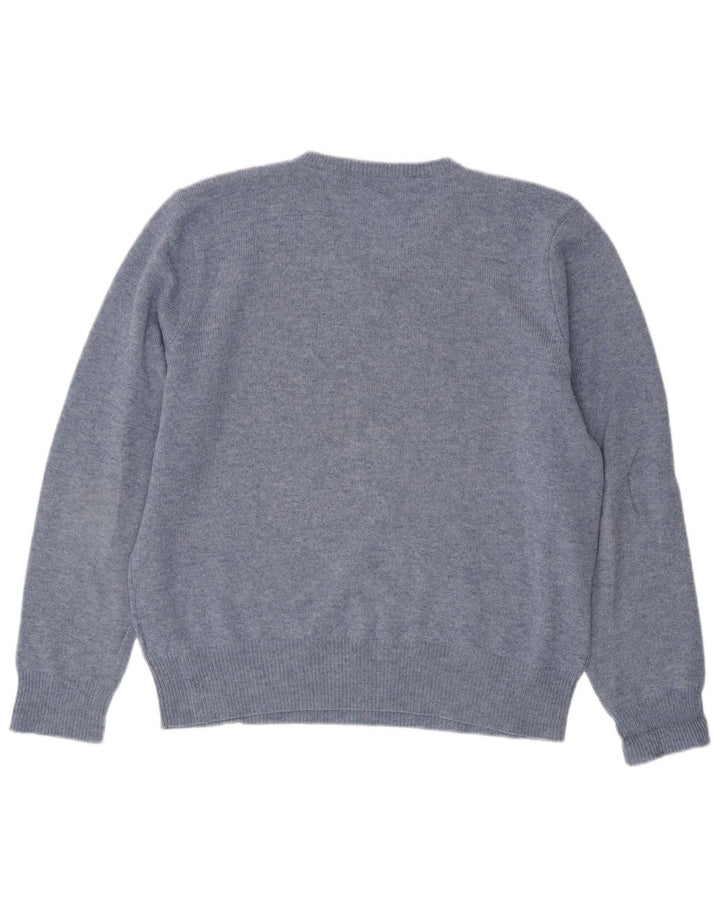 POLO RALPH LAUREN Pulover pentru bărbați cu decolteu în V, XL, lână de miel cu pături albastre