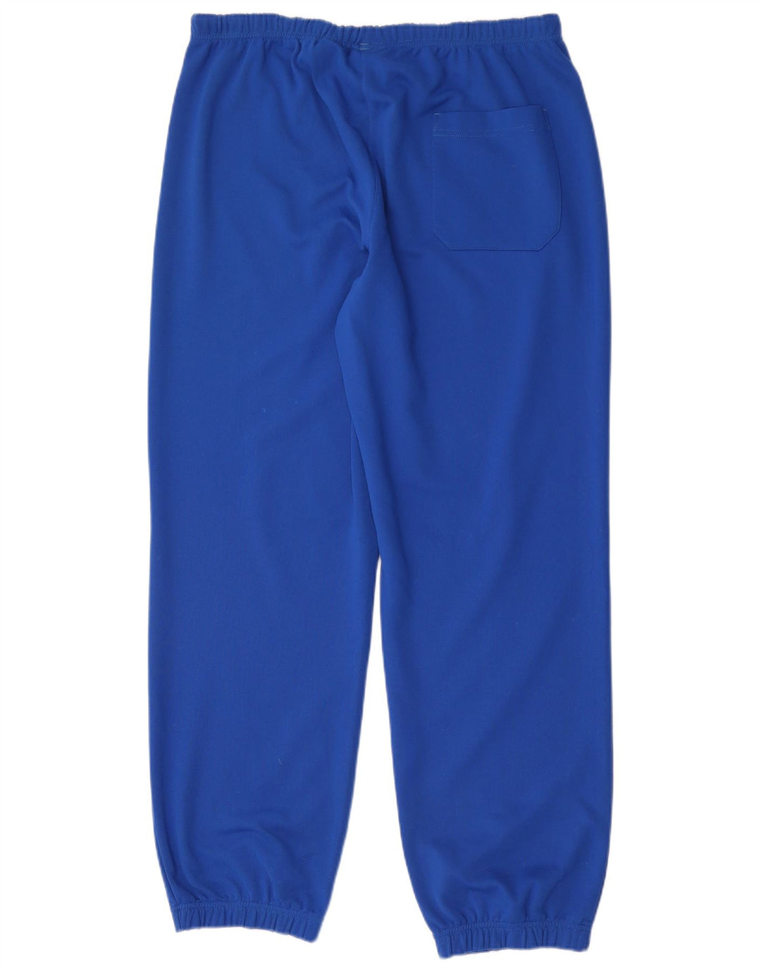 Pantaloni de trening Diadora pentru bărbați Joggeri mari, albastru, poliester