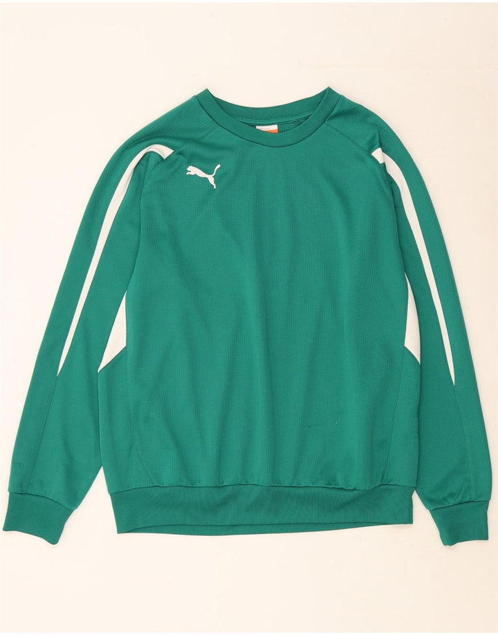 Pulover pentru bărbați PUMA Pulover mare verde, poliester color bloc