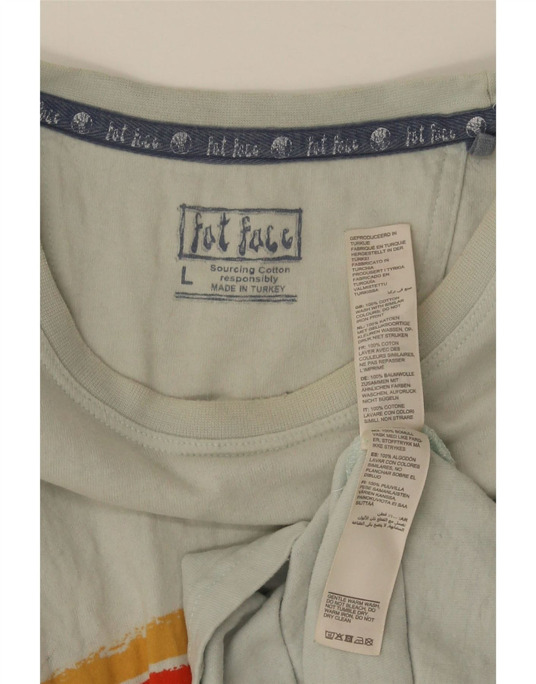Tricou grafic pentru bărbați Fat Face Top mare, albastru, bumbac cu dungi