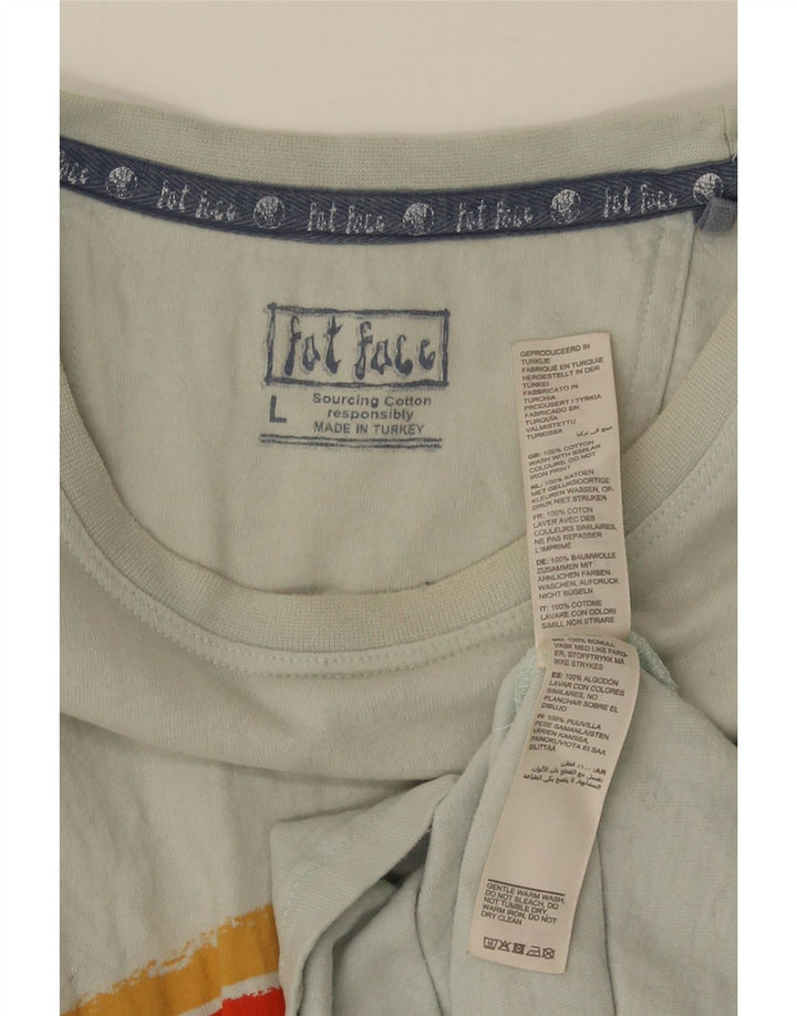Tricou grafic pentru bărbați Fat Face Top mare, albastru, bumbac cu dungi