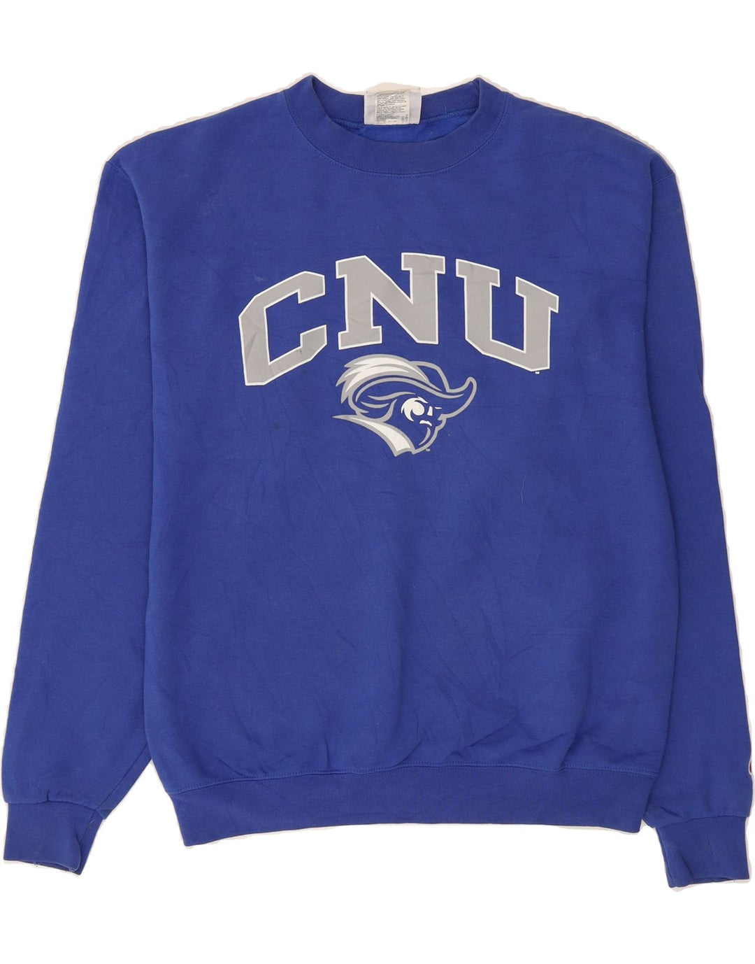 CHAMPION Mens Graphic Sweatshirt Jumper Medium Blue Cotton Vintage Champion and Second-Hand Champion from Messina Hembry 