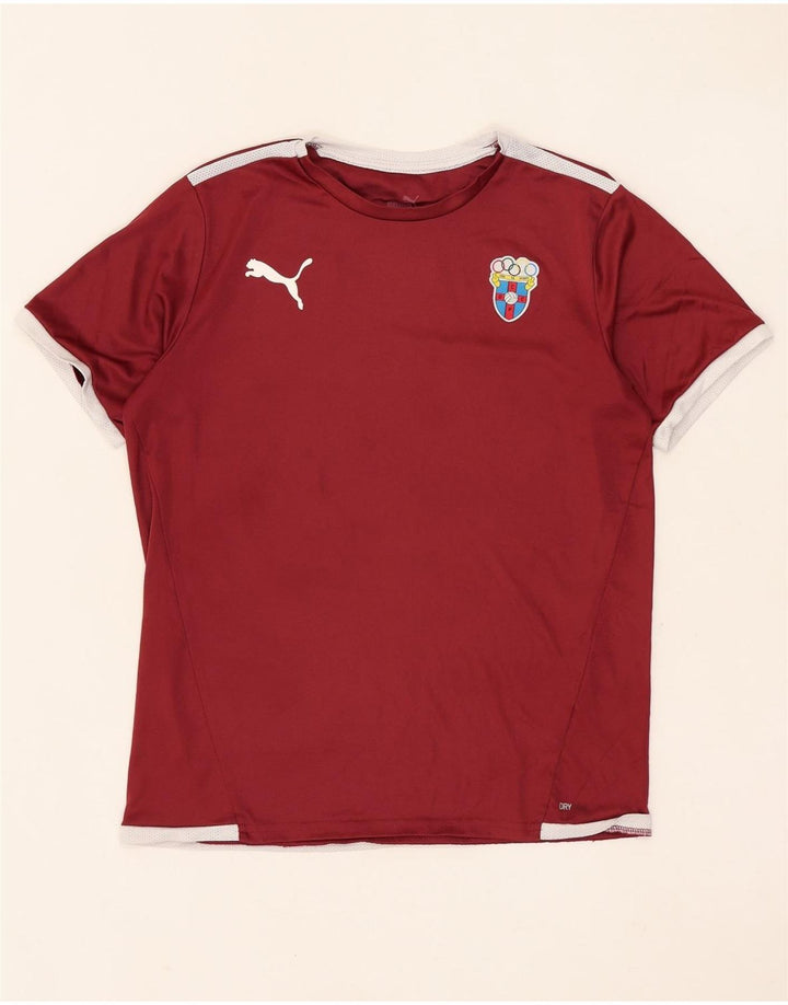 Tricou grafic Puma pentru băieți Top 13-14 ani maro