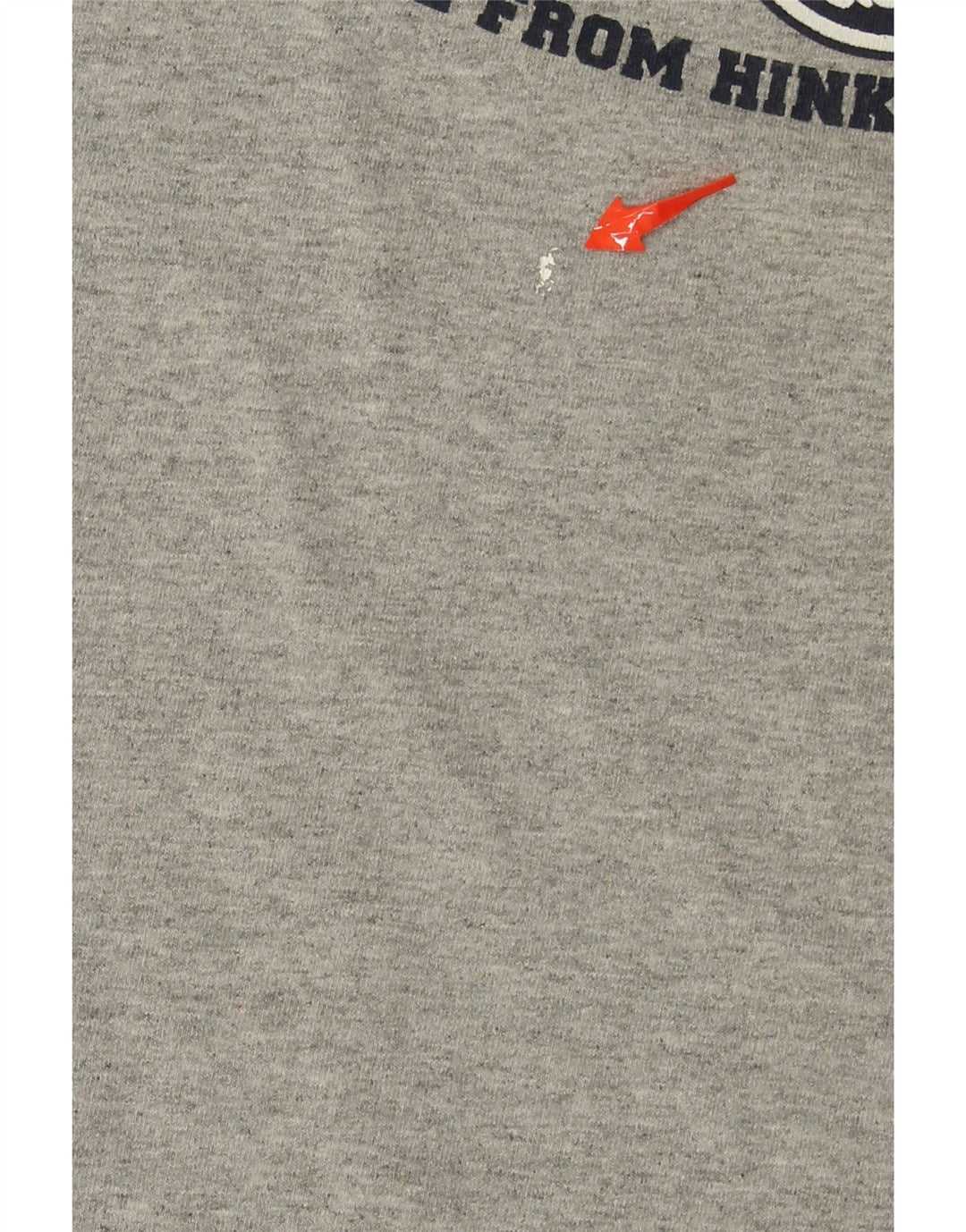 CHAMPION Mens Graphic T-Shirt Top Medium Grey Cotton