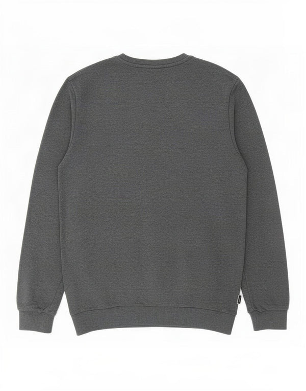 Hanorac pentru bărbați Adidas Jumper mare, gri, bumbac