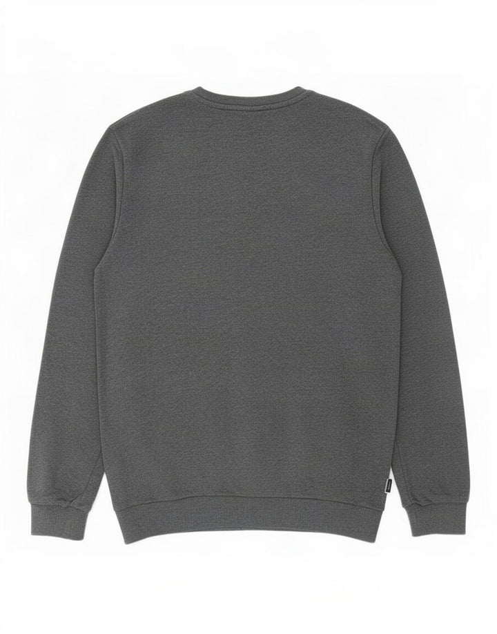 Hanorac pentru bărbați Adidas Jumper mare, gri, bumbac