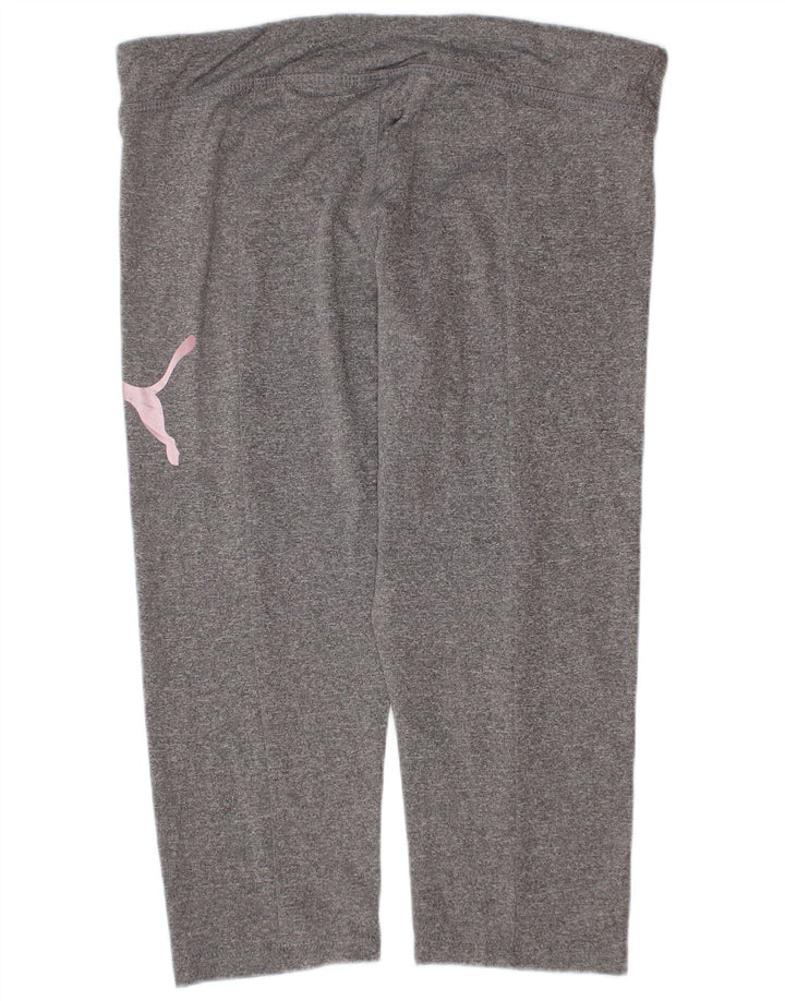 Puma Fete Leggings Grafice 12-13 Ani Mari Poliester Gri
