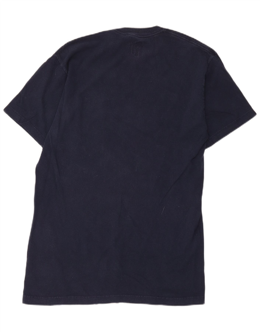 Tricou pentru bărbați Dickies Top mare din bumbac bleumarin