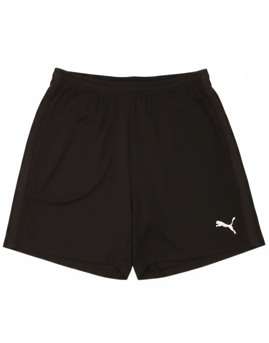 PUMA Mens Sport Shorts Large Black