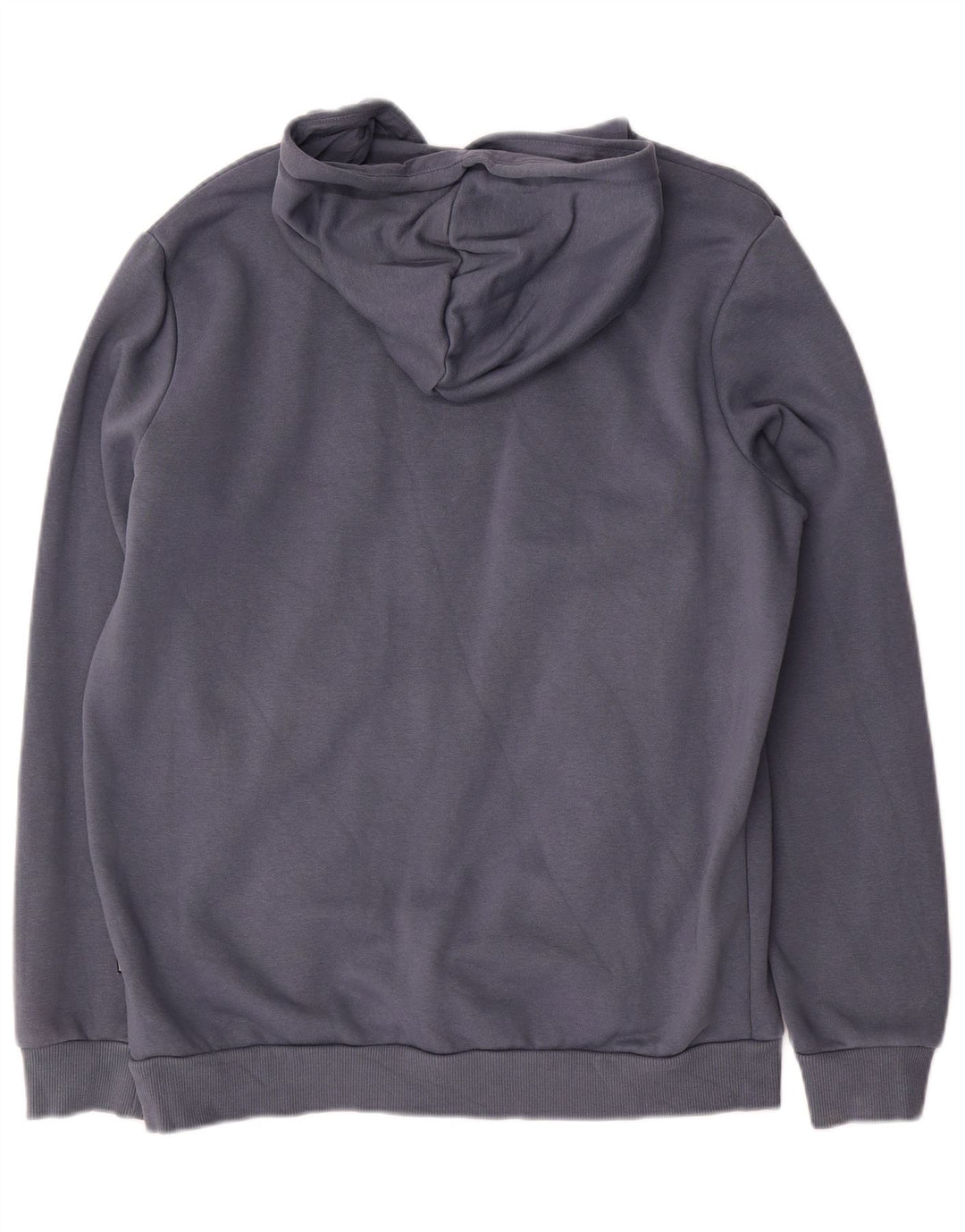 Pulover pentru bărbați Puma Graphic Hoodie, bumbac albastru mediu