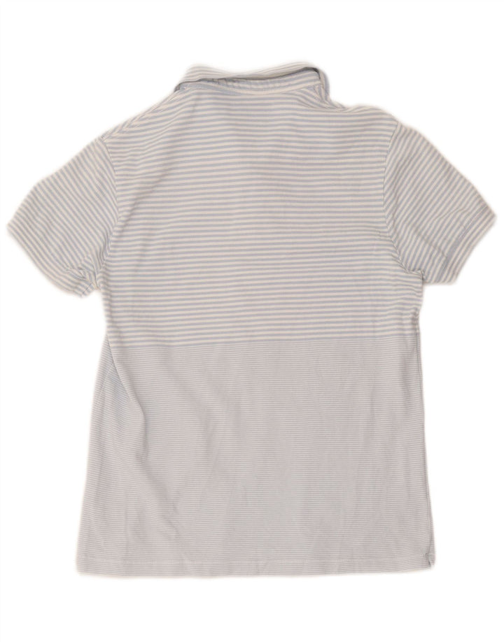 Tricou polo subțire pentru bărbați French Connection, bumbac cu dungi albastre mari