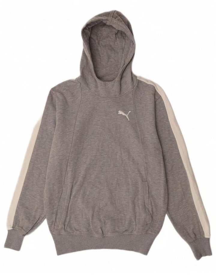 PUMA Mens Hoodie Jumper Medium Grey Colourblock