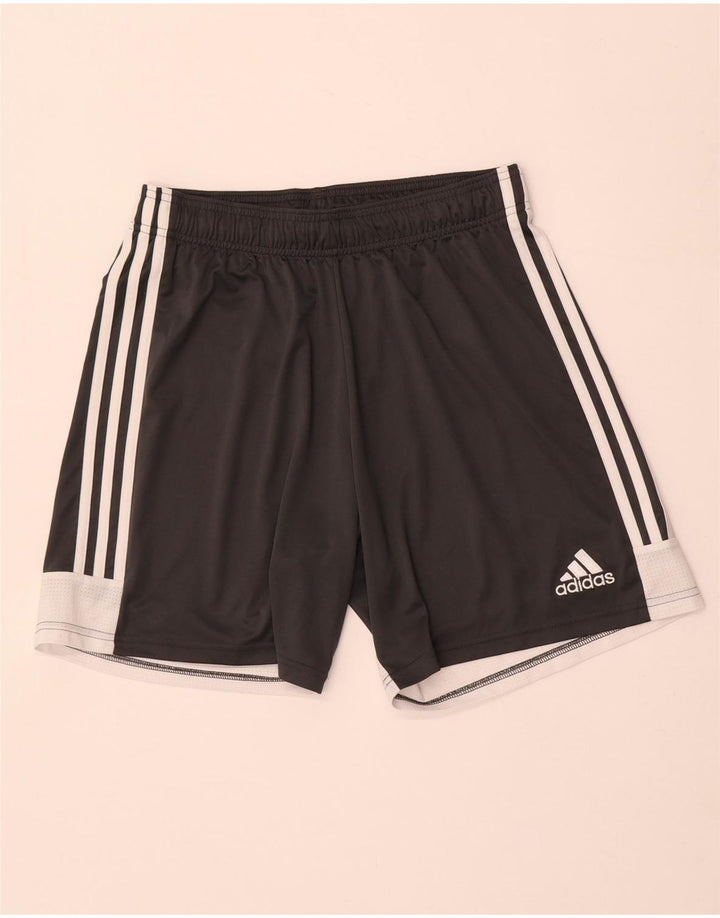 Pantaloni scurți sport pentru bărbați Adidas, gri mediu, poliester color bloc