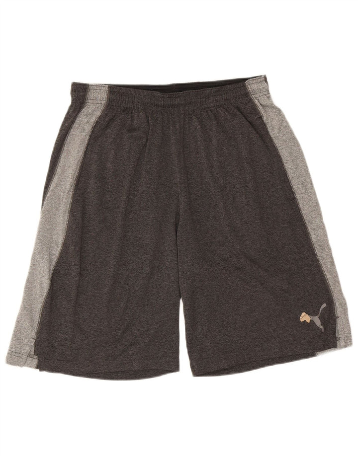 Pantaloni scurți sport PUMA pentru bărbați, gri mediu, blocuri de culoare