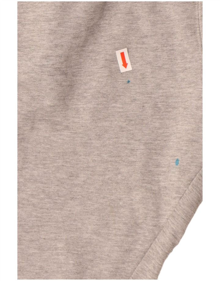 Pantaloni de trening cu grafic CHAMPION Pantaloni de jogging Mari Gri