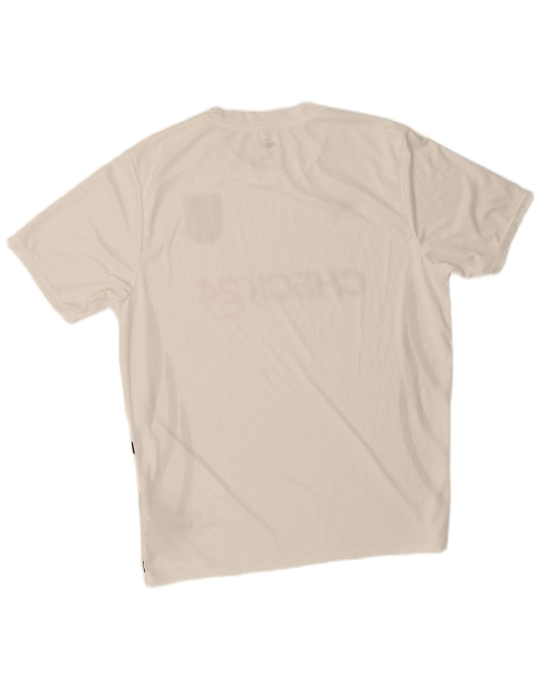 Tricou grafic Puma Deutshland pentru bărbați Top mare din poliester alb