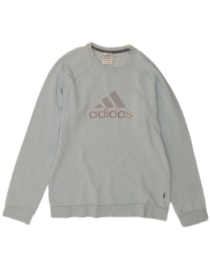 Hanorac grafic pentru bărbați Adidas Jumper mic, albastru, bumbac
