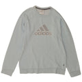 Hanorac grafic pentru bărbați Adidas Jumper mic, albastru, bumbac