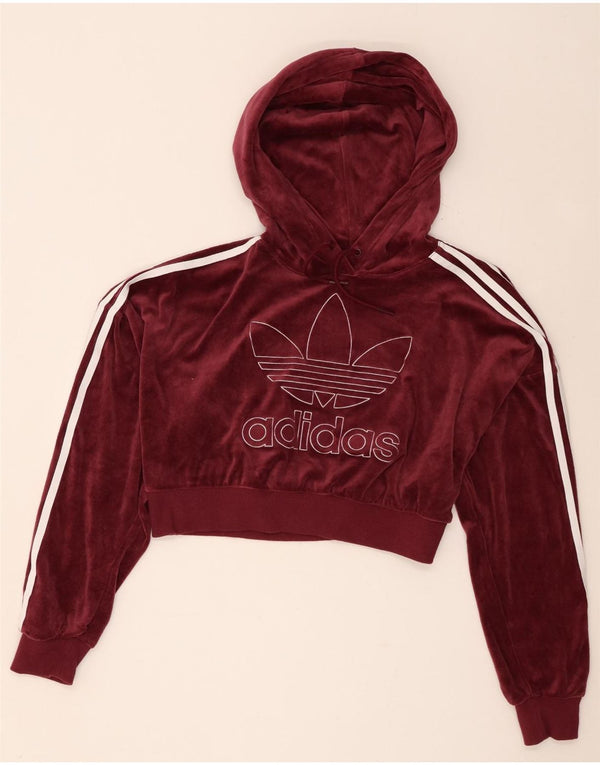 Jumper Adidas pentru femei Oversized Crop Velour Hoodie UK 8 Small Burgundy