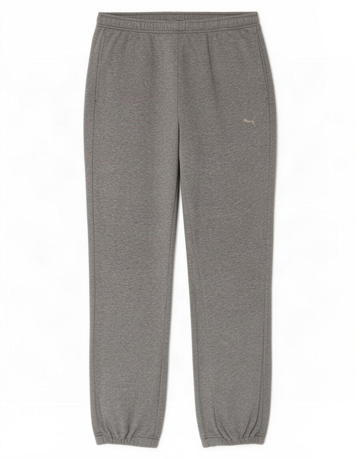 Pantaloni de trening Puma pentru bărbați Joggeri mari, gri