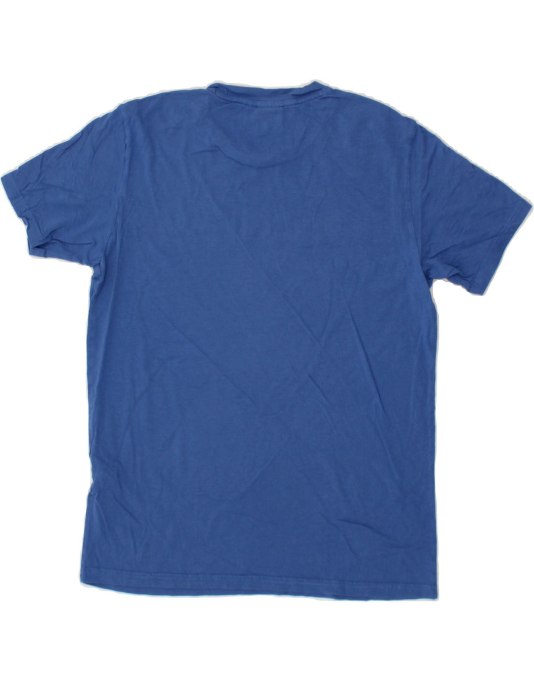 CHAMPION Mens Graphic T-Shirt Top Small Blue Cotton Vintage Champion and Second-Hand Champion from Messina Hembry 