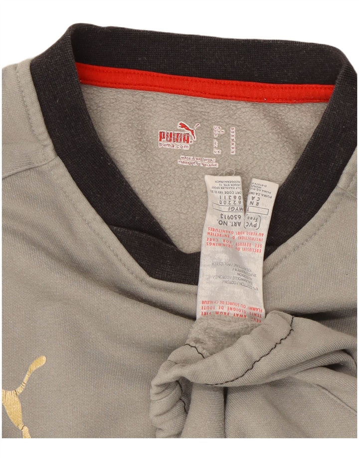 Pulover Puma pentru bărbați, bumbac color bloc, gri mediu