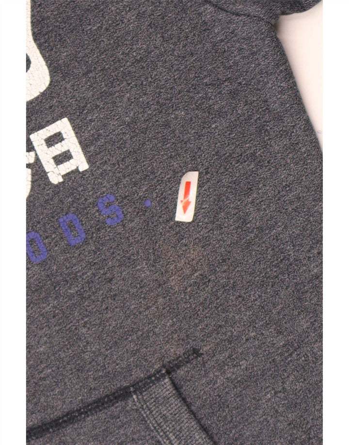 Pulover pentru bărbați Superdry Graphic Hoodie Pulover mic, gri, bumbac