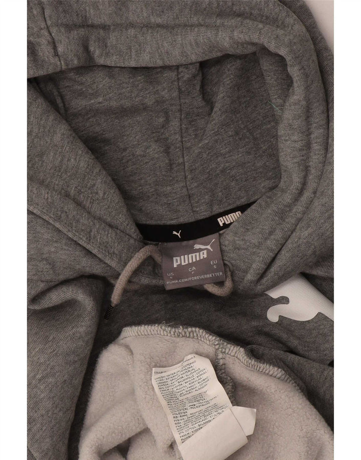 Pulover pentru bărbați Puma Graphic Hoodie Jumper mic, gri, bumbac