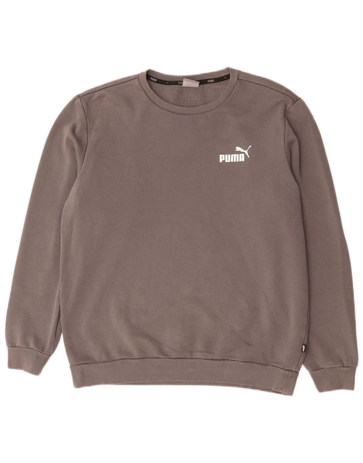 Hanorac pentru bărbați Puma Jumper mare, gri, bumbac