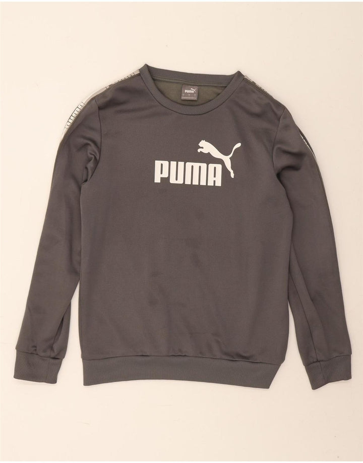 Pulover grafic pentru bărbați Puma Pulover mic, gri, poliester