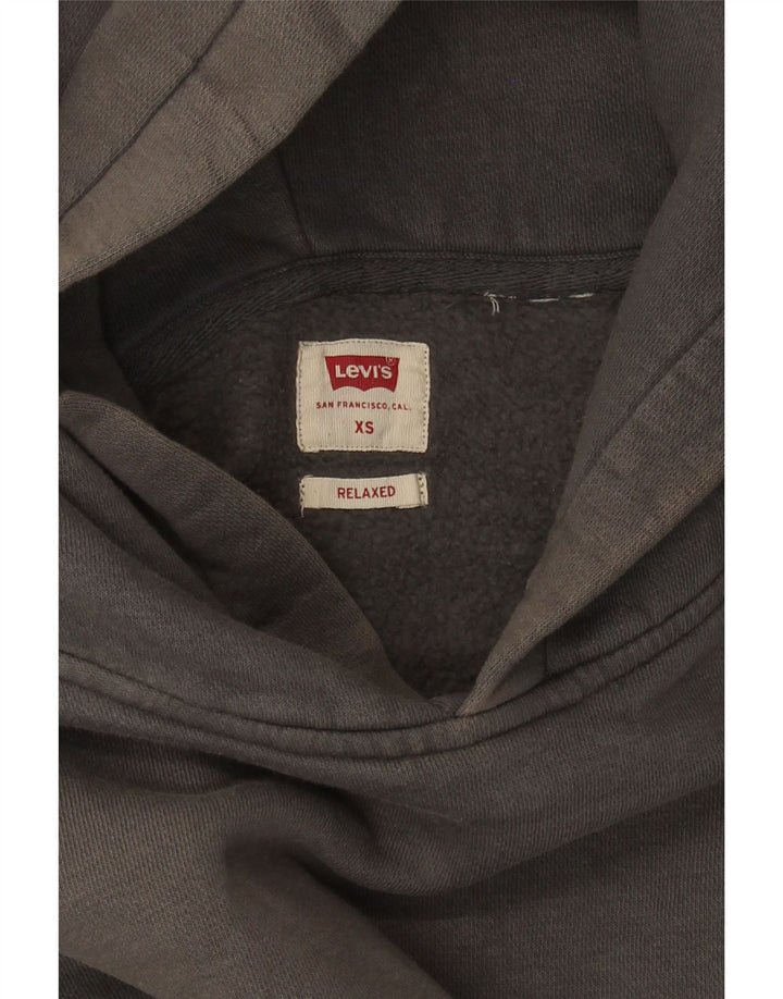 Jumper Levi's Relaxed Fit pentru bărbați XS Gri