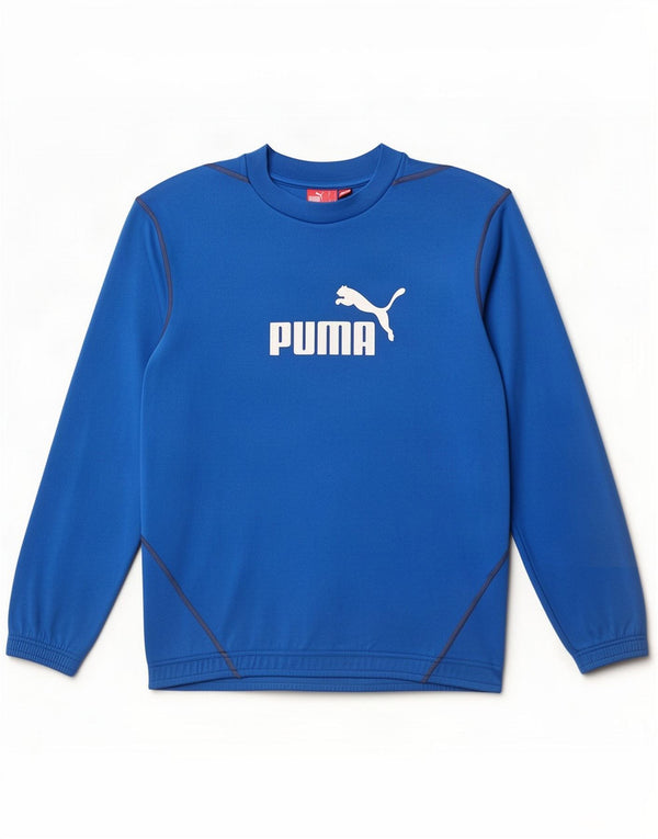 Puma Mens Graphic Sweatshirt Jumper Small Blue