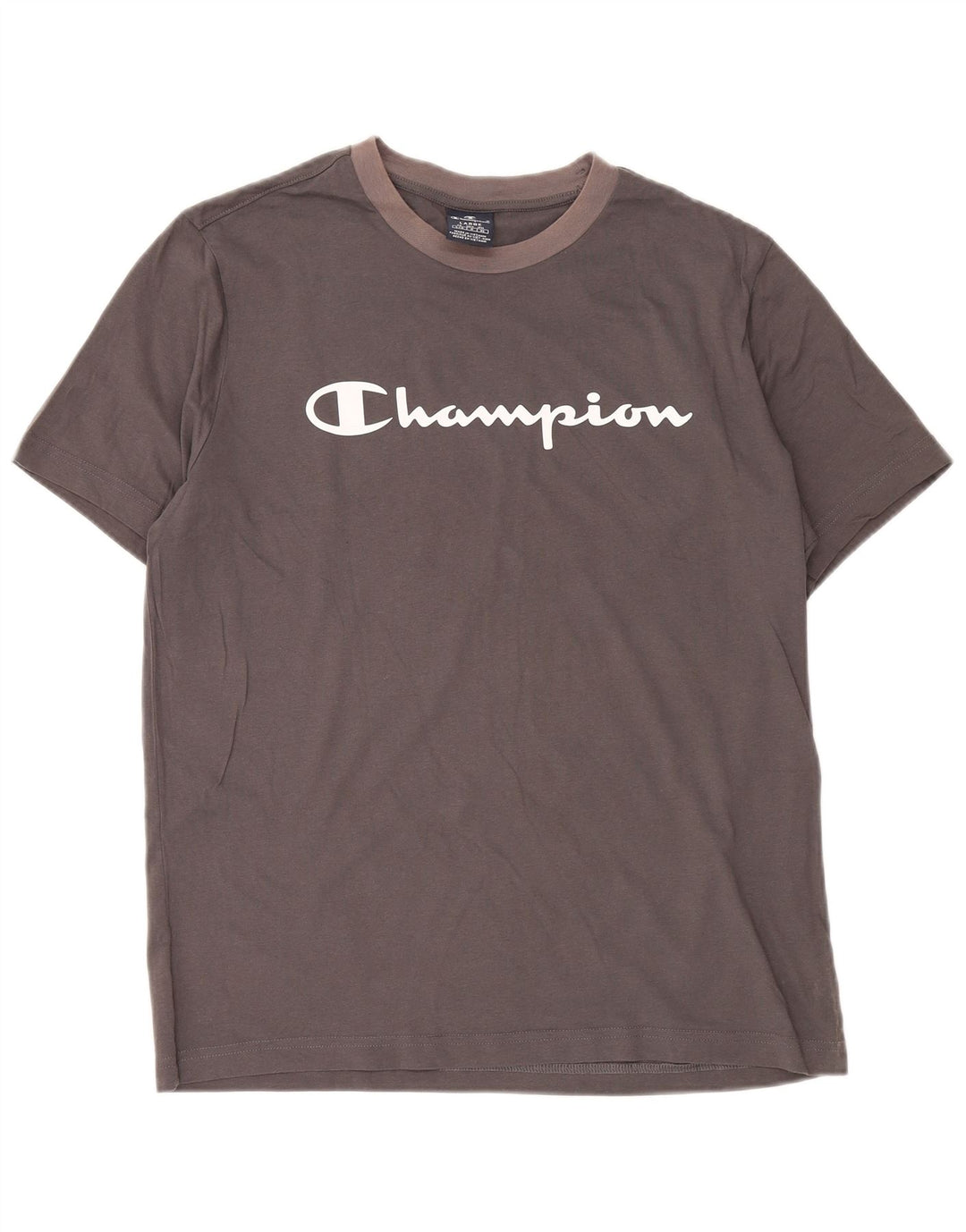 CHAMPION Mens Graphic T-Shirt Top Large Grey