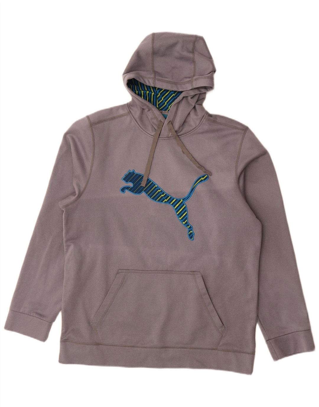 Pulover pentru bărbați Puma Graphic Hoodie Pulover mare, gri, poliester