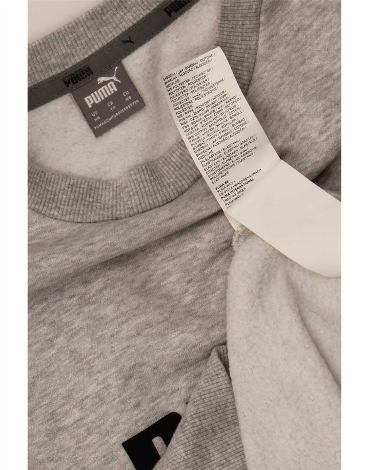 Pulover grafic pentru bărbați Puma XS bumbac gri
