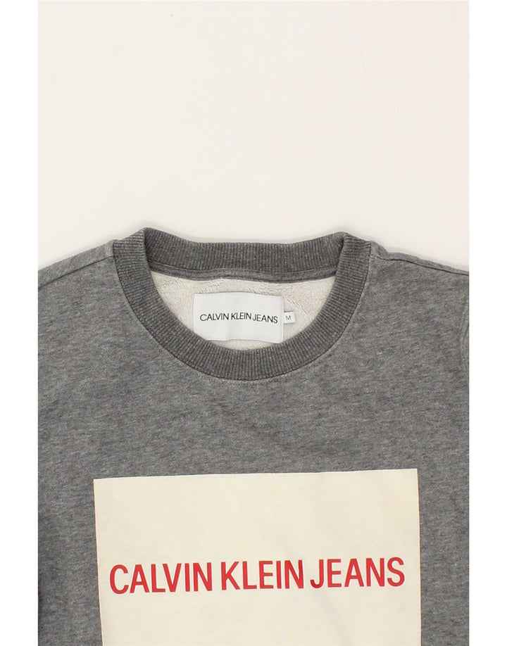 CALVIN KLEIN JEANS Womens Graphic Sweatshirt Jumper UK 14 Medium Grey Vintage Calvin Klein Jeans and Second-Hand Calvin Klein Jeans from Messina Hembry 
