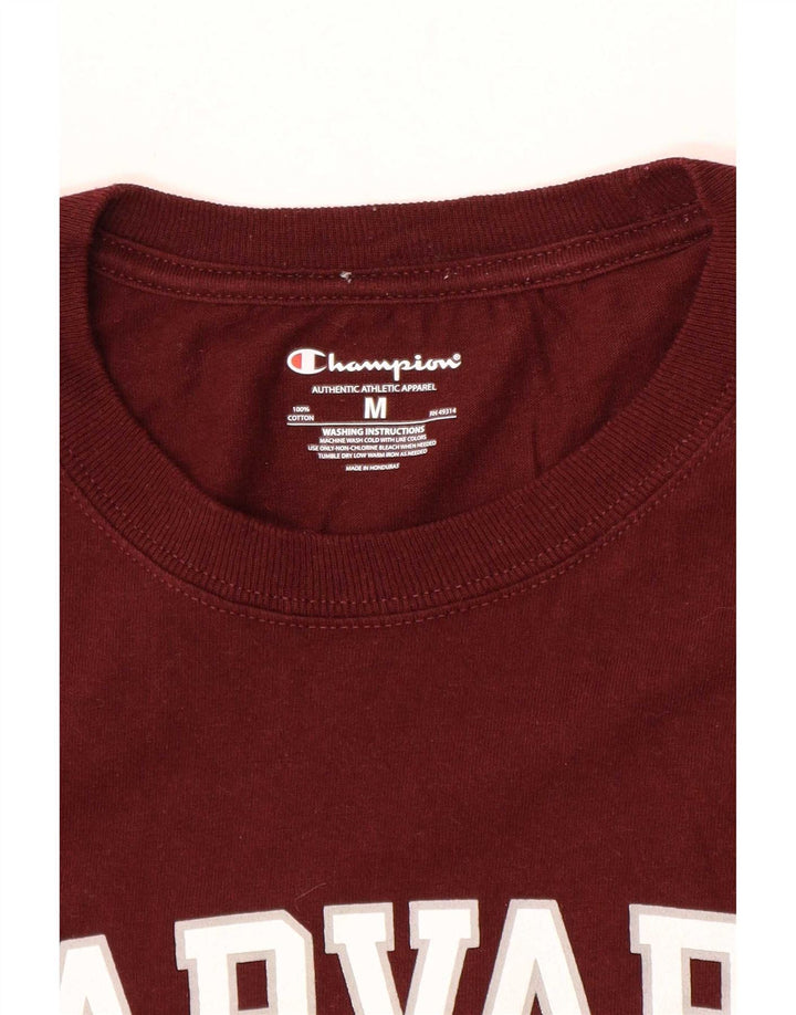 Tricou cu grafic normal pentru bărbați Champion, din bumbac maro mediu