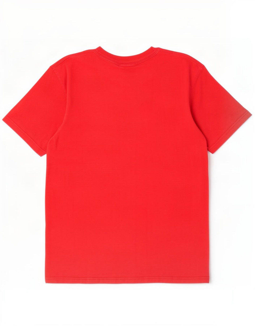 Tricou pentru bărbați Dickies Top mare bumbac roșu