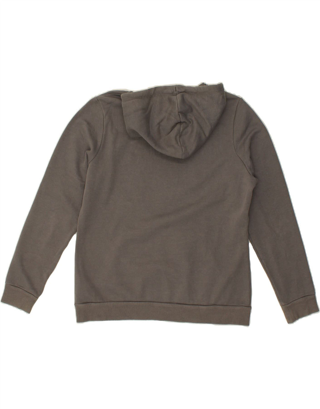 PUMA Mens Graphic Hoodie Jumper Large Grey Cotton Vintage Puma and Second-Hand Puma from Messina Hembry 