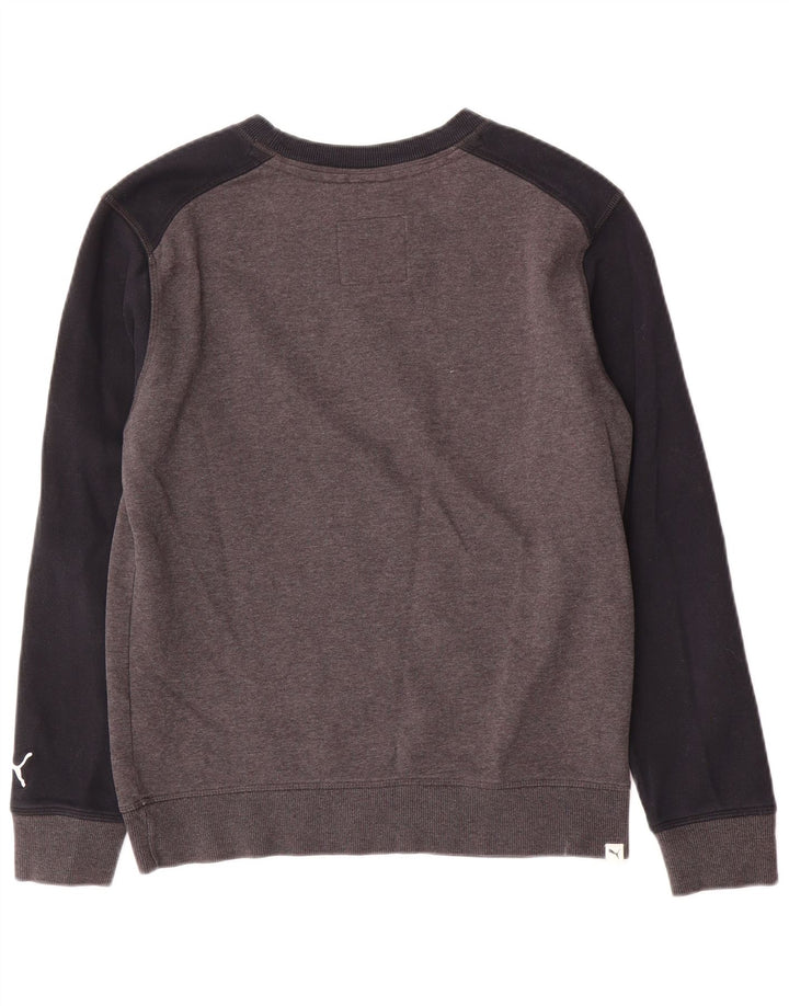 Hanorac grafic pentru bărbați Puma Jumper mic, gri, bumbac color bloc