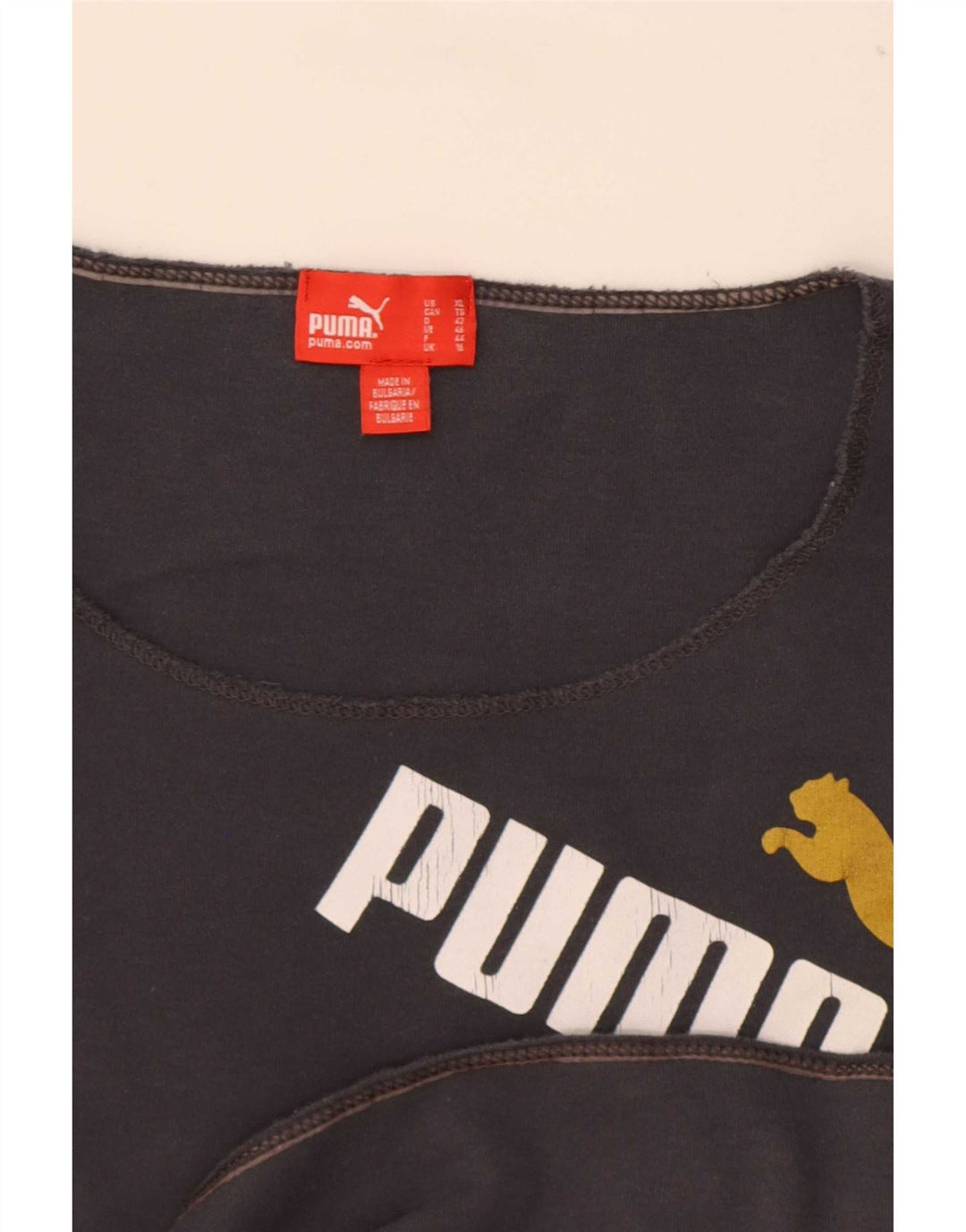 Tricou cu mânecă lungă cu grafică Puma pentru femei UK 16, mare, gri